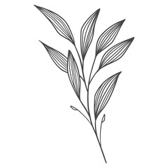 Fototapeta premium illustration of a plant ornament