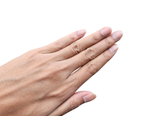 Human hand gesture resembling prayer, symbolizing prayer, respect, or gratitude, perfect for religion or spirituality themes. Isolated on white background, transparent PNG