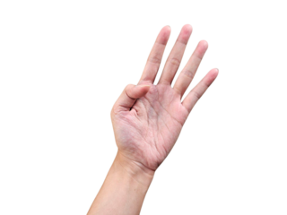 Open palm with four extended fingers, often used for counting or symbols, useful for education or communication themes. Isolated on white background, transparent PNG