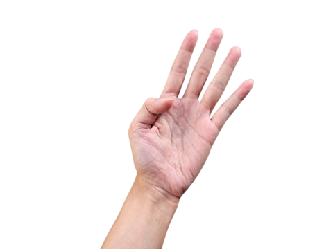 Open palm with four extended fingers, often used for counting or symbols, useful for education or communication themes. Isolated on white background, transparent PNG