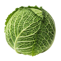 Fototapeta premium Savory savoy cabbage head isolated on transparent background