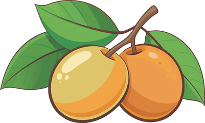 A vibrant vector art illustration of beautiful, ripe longan fruits, showcasing lush detail, rich colors, and tropical freshness for creative projects.