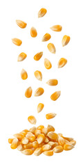 Popcorn kernels falling into a pile isolated on transparent background