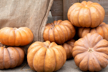 Minimalist autumn composition close up many large beautiful pumpkins on a wooden background, harvest, halloween