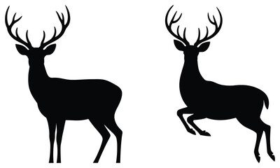 silhouette of deer