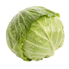 Fototapeta premium Cabbage isolated on a transparent background