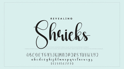 Photography signature logo with Font Calligraphy Logotype Script Font Type Font lettering handwritten with camera icon design