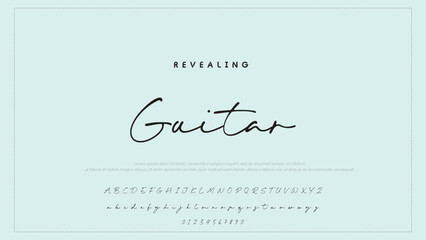 Hand drawn vector alphabet. Modern monoline signature script font. Elegant Signature Font. Best Alphabet Beautiful Calligraphy Signature Font