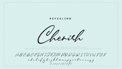 Hand drawn vector alphabet. Modern monoline signature script font. Elegant Signature Font. Best Alphabet Beautiful Calligraphy Signature Font