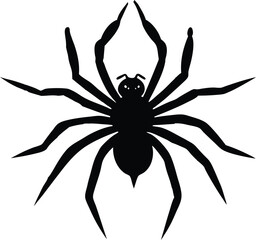 Spooky Spider hanging from a web silhouette