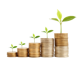 Stacks of golden coins arranged in increasing heights with an upward silver arrow and percentage sign