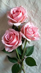 Close-up blush roses against a linen-textured background, wedding, close-up