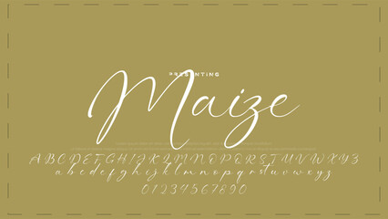 Hand drawn vector alphabet. Modern monoline signature script font. Elegant Signature Font. Best Alphabet Beautiful Calligraphy Signature Font