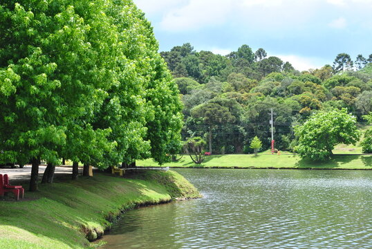s f de paula
