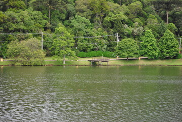 Obraz premium s f de paula