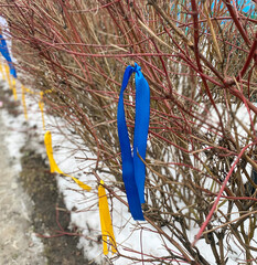 Blue and yellow ribbons on a tree branch. SVO, struggle, unresolved conflicts.