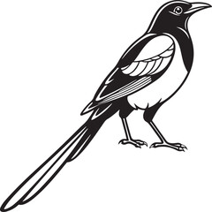 Turquoise Browed Motmot bird silhouette vector Illustration