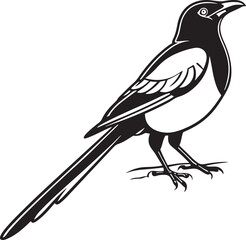 Turquoise Browed Motmot bird silhouette vector Illustration