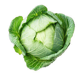 Obraz premium Fresh. vibrant green cabbage head with tightly packed leaves. displayed against a clean. neutral background. ideal for culinary or agricultural use in food-related projects