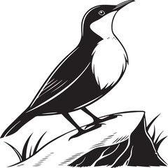 Naklejka premium White-Throated Dipper bird silhouette vector Illustration