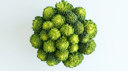 Assortment of raw broccoli heads in fresh green tones, isolated overhead on white