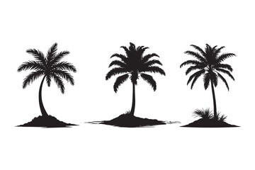 Black & White Palm Tree Silhouette Vector Illustration