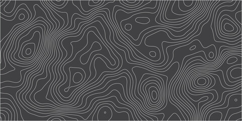 Simple Line Abstract Topographical Map