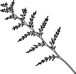 Ceder leaf outline vector