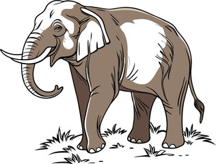 Fototapeta premium elephant cartoon illustration