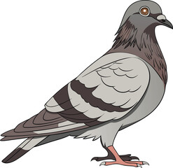 vector illustration of a bird