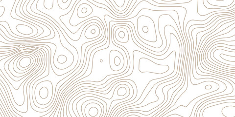 Abstract modern stylized black and grey white curve wave line smooth stripe white background. Use for banner, business, presentation illustration.