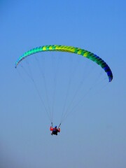 Paraglider flying above the trees in the Vosges mountains