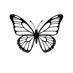 Obraz premium A Minimalist Black Butterfly Silhouette Image on a Pure White Canvas
