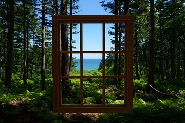 Window in forest
