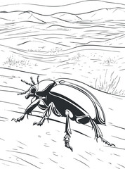 Black and white line drawing of a beetle crawling on sand dunes in a desert landscape