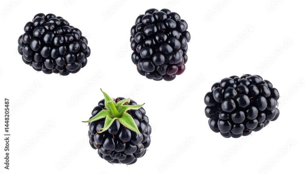 Poster set of four fresh blackberries from different angles isolated on transparent background with clippin