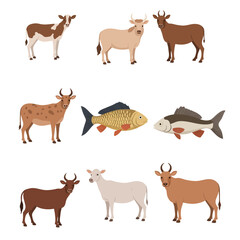 Fototapeta premium Diverse livestock and aquatic fauna Cows sheep and a golden scaled fish