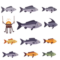 Whimsical Drumming Pot and Colorful Fish Collection