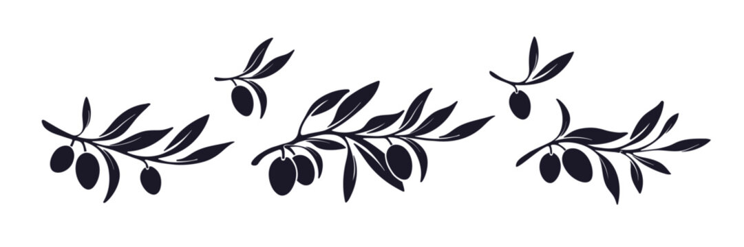 Olive branch. Vector branch, silhouette of leaves