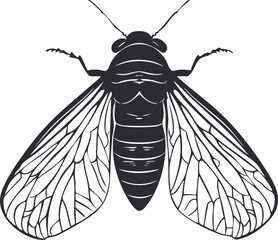Detailed black and white vector illustration of a fly insect with clear wings and antennae