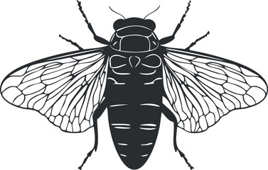Black and white vector illustration of a detailed insect with wings spread, showing body and legs