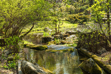 Stream in a Japanese garden