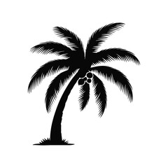 silhouette of palm trees