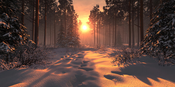 Snowy path in a winter forest at sunset, sun rays illuminating the snow Golden hour light, tranquil winter scene, evoking peace and serenity
