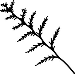 Ceder leaf silhouette vector