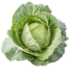 Obraz premium cabbage isolated on white background