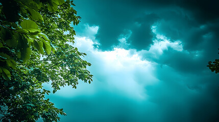 Dramatic sky, green leaves, sunlight, cloudscape, nature backdrop, perfect for website or social media