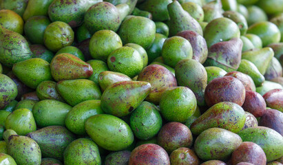 A pile of green and red avocados