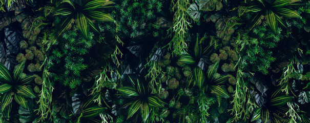Herb wall, plant wall, natural green wallpaper and background. nature wall. Nature background of...