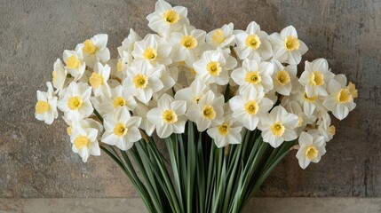 Fototapeta premium A bunch of white daffodils arranged naturally.